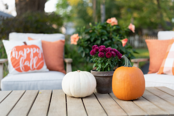 Decorating Your Home For Fall 2024: Cozy Ideas to Warm Up Your Space