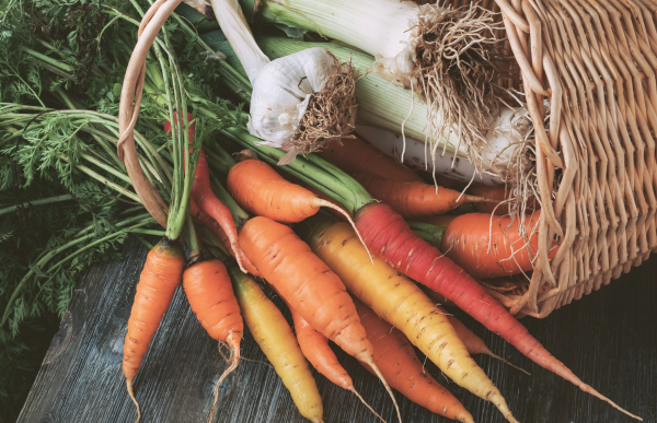 Here are The Best Vegetables to Plant in November: Cool-Season Crops for a Winter Harvest