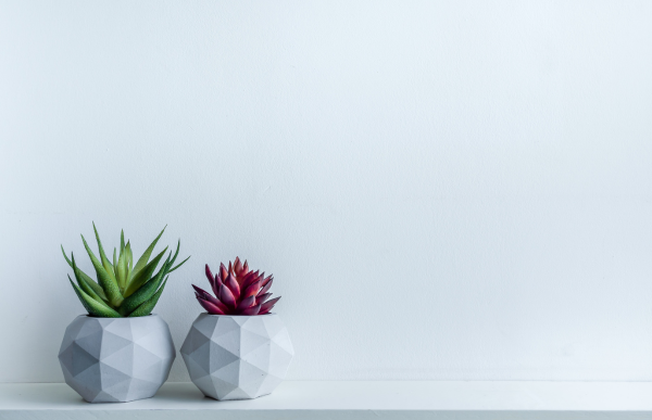 DIY Minimalist Concrete Planters: A Modern Home Decor Essential